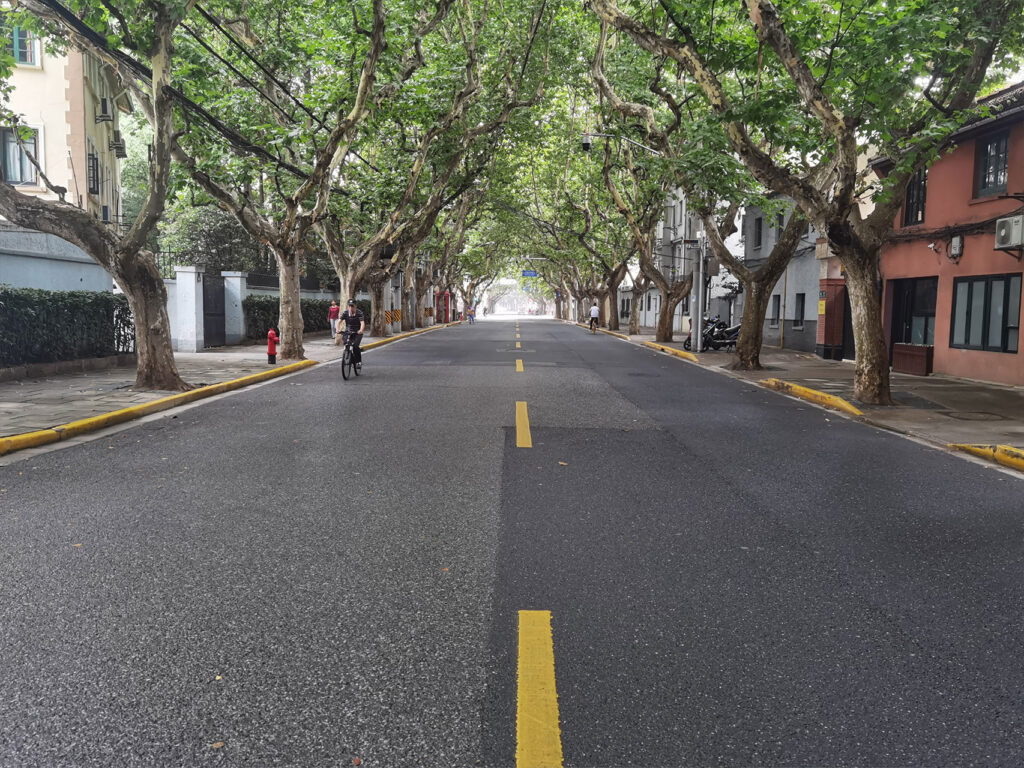 Trees of Shanghai