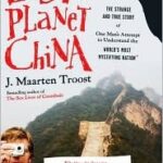 Lost on Planet China review
